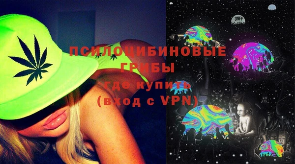 ГАЛЛЮЦИНОГЕННЫЕ ГРИБЫ Алексин