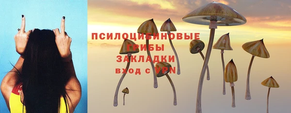 скорость Алзамай