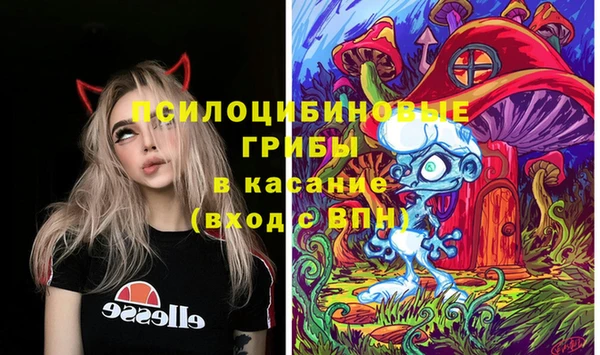 стафф Алексеевка