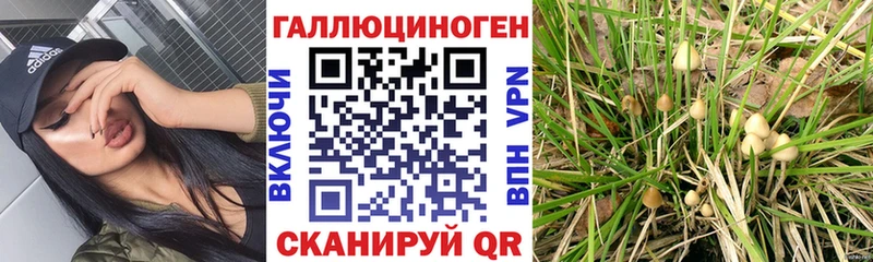 ссылка на мегу ССЫЛКА  Куса  Галлюциногенные грибы GOLDEN TEACHER 